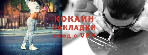 гашик Каменногорск