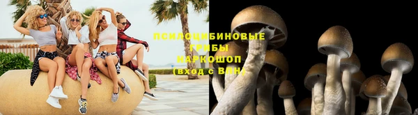 бутират Каменка