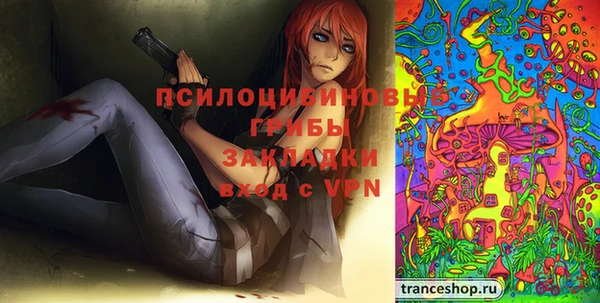 бутират Каменка