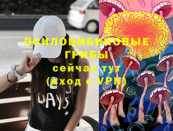 гашик Каменногорск