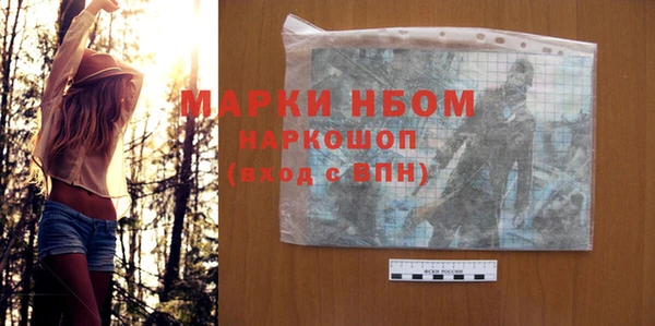 гашик Каменногорск